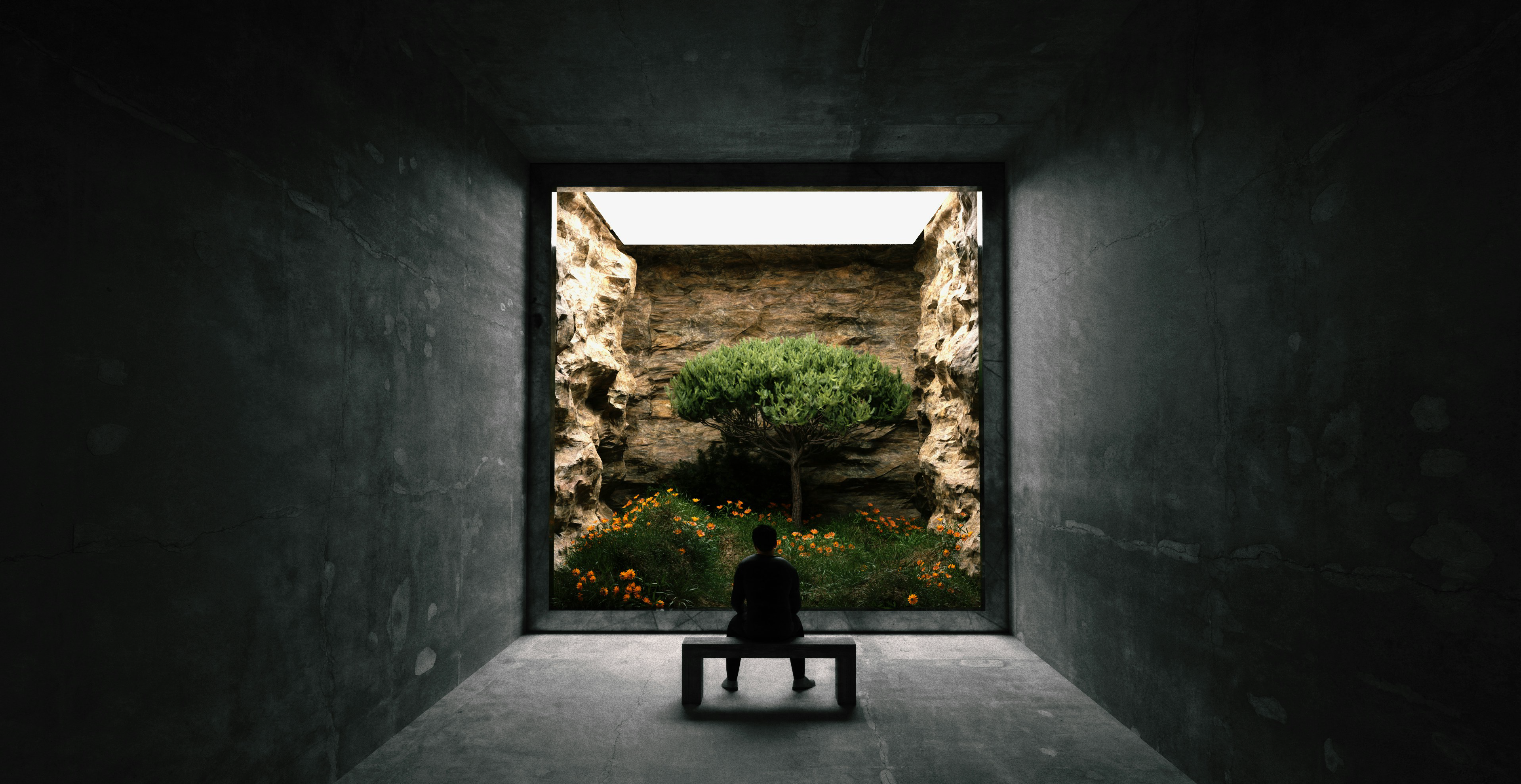 The Bonsai Way of Living