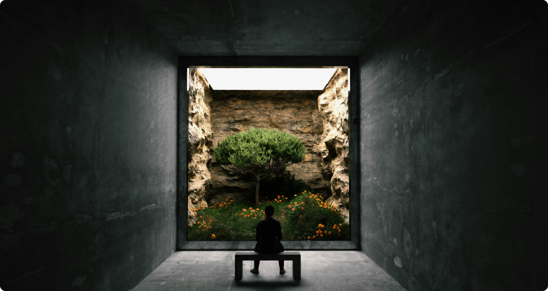 The Bonsai Way of Living